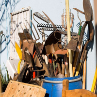 RON FINLEY on Cultivating the Garden of the Mind /79