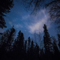 Dr. CHANDA PRESCOD-WEINSTEIN on the Night Sky and Liberation Discourse /228