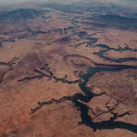 Reshaping the Landscape of Conservation Media at JACKSON WILD /146