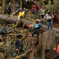 Xʷ IS Xʷ ČAA and MAIA WIKLER on Indigenous Sovereignty at Fairy Creek Blockade /240