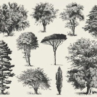 DIANA BERESFORD-KROEGER on Replanting the Global Forest, Part One /32