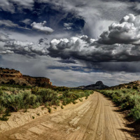 LYLA JUNE on the Endangered Diversity of Language and Life /42