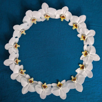 Dr. JAMAICA HEOLIMELEIKALANI OSARIO on Reclaiming Aloha /297