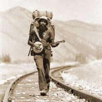 Dr. JOHN FRANCIS on What Grows In Silence /202