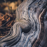 NINA SIMONS on the Holistic Endeavor of Shifting Culture /40