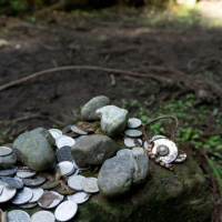 CHARLES EISENSTEIN  IAN MACKENZIE on the Age of Transition /112