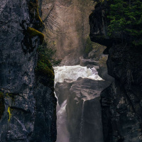 ALEXIS SHOTWELL on Resisting Purity Culture /298