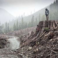 TREBBE JOHNSON on Bearing Witness to Wounded Places /27