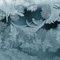 VEDA AUSTIN on Water as Source /317