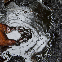 NNIMMO BASSEY on Niger Delta as Sacrifice Zone /88