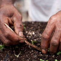 MALIK YAKINI on a Food Sovereign Future in Detroit /75