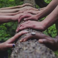 THE WILDFIRE PROJECT on Transforming Toxic Movement Culture /110