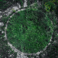 BETTY MARTIN on The Language of Consent /358