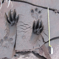 QUEER NATURE on Reclaiming Wild Safe Space /101