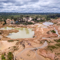 Dr. CARLOS NOBRE on the Shifting Future of the Amazon /106