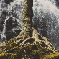 STARHAWK on the Roots and Shoots of Earth-based Community /46