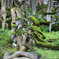 FOR THE WILD on Slow Media