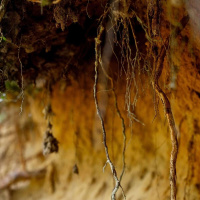 ANJALI NATH UPADHYAY, M.A.² on Radical Unlearning /190