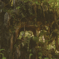 InTheField: KASYYAHGEI on the Law of the Land /149