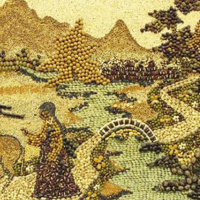 VANDANA SHIVA on the Emancipation of Seed, Water and Women /26