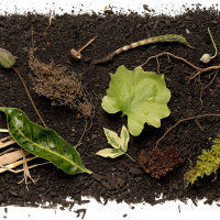 KATRINA SPADE on New Life from Death /346