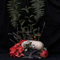 NIRIA ALICIA on Pockets of Joy in the Resistance /260