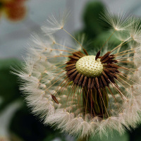 STEVEN MARTYN on Letting Land Lead /87