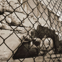 JACKIE WANG on Carceral Capitalism /189