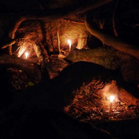 DeeplyRooted: Honoring our Ancestors and the Earth with LEAH PENNIMAN /188