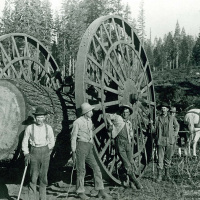 ALNOOR LADHA on Capitalists and Other Cannibals /49