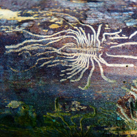 ERIN MANNING on the Choreography of Neurodiversity /356