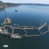 ALEXANDRA MORTON on the Virulence of Farmed Salmon /78