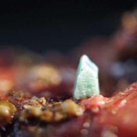 Dr. MAX LIBOIRON on Reorienting Within a World of Plastic /156