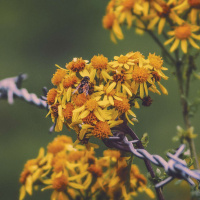 MARIAME KABA on Moving Past Punishment [ENCORE] /187