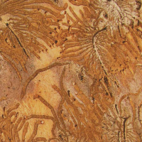 COREY LESK on Warming Winters and Southern Pine Beetle Migration /136