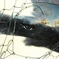 KURT RUSSO on a Prayer of Mourning /357