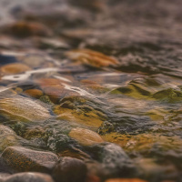 KYLE WHYTE on the Colonial Genesis of Climate Change [ENCORE] /295