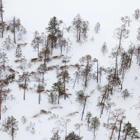 JOSEFINA SKERK on Sámi Lifeways /254