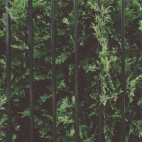 MARIAME KABA on Moving Past Punishment /151