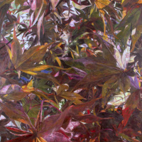 DIANA BERESFORD-KROEGER on Replanting the Global Forest, Part Two /33