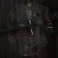 TYSON YUNKAPORTA on Unbranding Our Mind /235