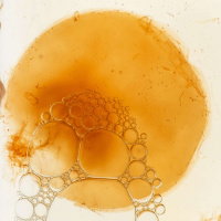 SANDOR ELLIX KATZ on Cultures of Fermentation /359