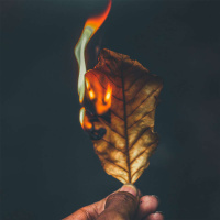 VANESSA CAVANAGH, RACHAEL CAVANAGH,  DEB SWAN on Ancestral Fire Regimes /205