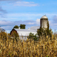 MIRIAM HORN on Conserving Common Ground in Americas Divided Heartland /66