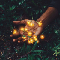 Homebound: Decentralizing the Power of Healing with Dr. RUPA MARYA /169