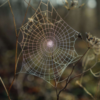 LYLA JUNE on Lifting Hearts Off the Ground /147