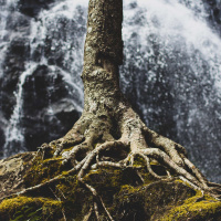 Homebound: The Roots and Shoots of Earth-based Community with STARHAWK /182