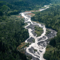 JILL WEITZ on Salmon Beyond Borders /165