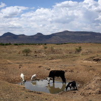 ZAYAAN KHAN on the Place of Sweet Waters, Part 1 /83