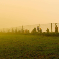 HARSHA WALIA on Dismantling Imagined, Militarized, and Colonial Borders /211